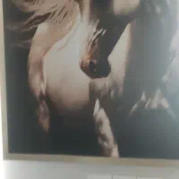 قاب