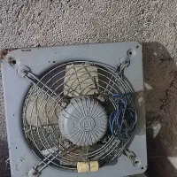 موکت|موکت|دوگنبدان, |دیوار