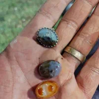 انگشتر شجر پاییزی