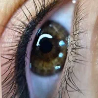 تخفیف ویژه فیبروز مویی یلدایی و روز مادر تا ۲۰اذر|خدمات آرایشگری و زیبایی|شیراز, خلدبرین|دیوار