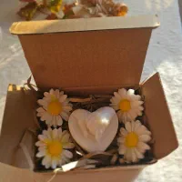 شمع شب مهتابی|صنایع دستی و سایر لوازم تزئینی|شیراز, کوشک میدان|دیوار