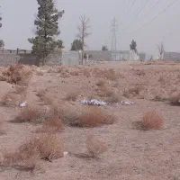 زمین باغی