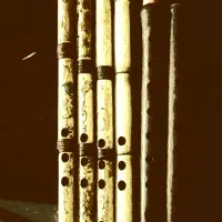 نی کلهر|سازهای بادی|قم, آذر (نکویی)|دیوار