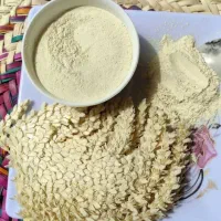 گرده نخل خرما