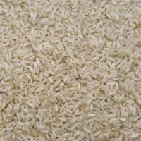 چمپای درجه یک لوداب