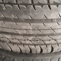 لاستیک فیدلیتی نو