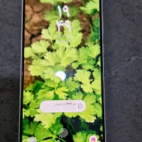 گوشی سامسونگ ۵۶A رم ۱۲