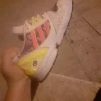 کتونی ZX 8000 سفارش کره