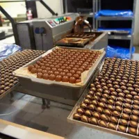 کارخانه بزرگ شکلات،کارگرخانم آقا راننده موزع