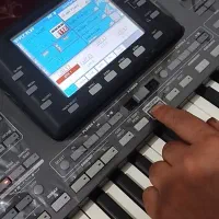 ارگ پیاتری|پیانو، کیبورد، آکاردئون|یاسوج, |دیوار