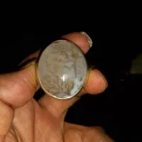 فروش انگشتربا نگینهای جواهری|جواهرات|نجف‌آباد, امیرآباد|دیوار