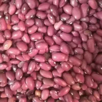 لوبیا قرمز اعلا