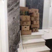 کارتن موز سالم|ابزارآلات|سنندج, |دیوار