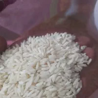 برنج پاکستانی بریس