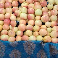 شاگرد میوه فروشی