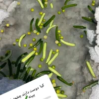 رفتینگ ارمند