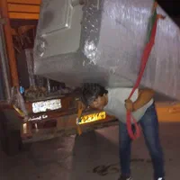 باربری کبیر بار 100%تضمینی کارتن رایگان|خدمات حمل و نقل|شیراز, ابیوردی|دیوار