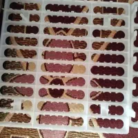 دستگاه جوجه کشی هدایت نو نو|ماشین‌آلات صنعتی|ایذه, |دیوار