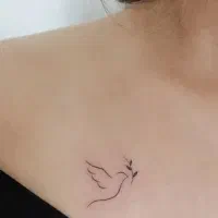 تتو / رنگمو/ کاشت ناخن / کاشت موژع