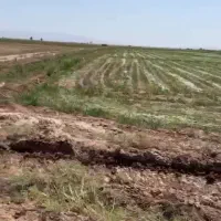 تعدادی قطعات زمین در بهترین لوکیشن گرمسار