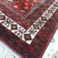 قالیشویی در پونک اشرفی سردار جنت اباد