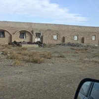 دامداری مرغداری