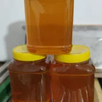 عسل طبیعی ودرمانی|آرایشی، بهداشتی، درمانی|آبش احمد, |دیوار