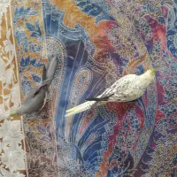 عروس هلندی