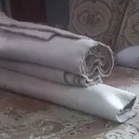 پالاز موکت|موکت|ماهدشت, |دیوار