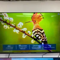 تیوی ۵۵ اسنوا ویترینی