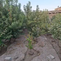 نیازمند هم خانه .|اجارهٔ خانه و ویلا|اصفهان, دانشگاه اصفهان|دیوار