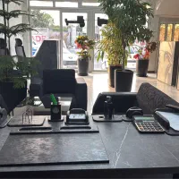 مشاور خانم در امور ملکی و فروش باغ و باغچه