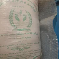 گندم دهدشت دیم یک کیسه