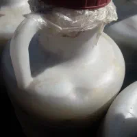 خیارشور نول|خوردنی و آشامیدنی|فیروز, |دیوار