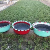 گلدان بدون رنگ