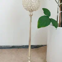 کنارسالنی شیک