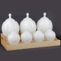 پاسماوری سرامیکی درجه یک