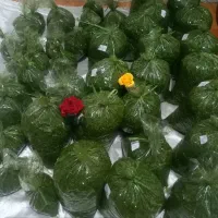 سبزی خرد شده