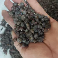 کشمش پاک کن حرفه ای