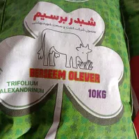 فروش بذر شبدر برسیم  عمده و جزئی