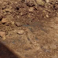 خاک گوسفند