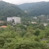 ۵۰متر تجاری بر بلوار اصلی