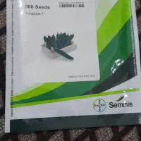بذر خیار ۵۴۷ فروشی