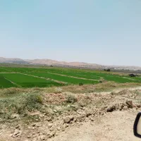 زمین برای دام
