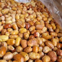 استخدام نیرو اقا و خانم در کلی فروشی عطاری و ادویه