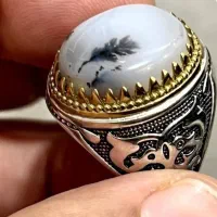 انواع شجر وفیروزه بشرط کارشناسی ببر925|بدلیجات|یزد, |دیوار