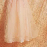 لباس مجلسی|لباس|سیرجان, |دیوار