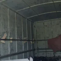 کانتین مسقف فلزی|قطعات یدکی و لوازم جانبی|آوج, |دیوار