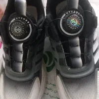 کتانی|کیف، کفش، کمربند|ری, هاشم‌آباد|دیوار