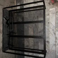 رگال